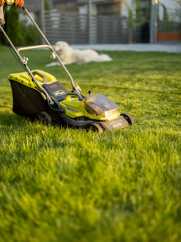 Rasenmähen mit professionellem Rasenmäher